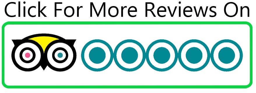 TripAdvisor 5 Star