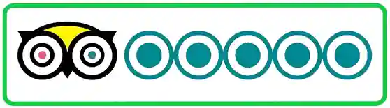 TripAdvisor 5 Star